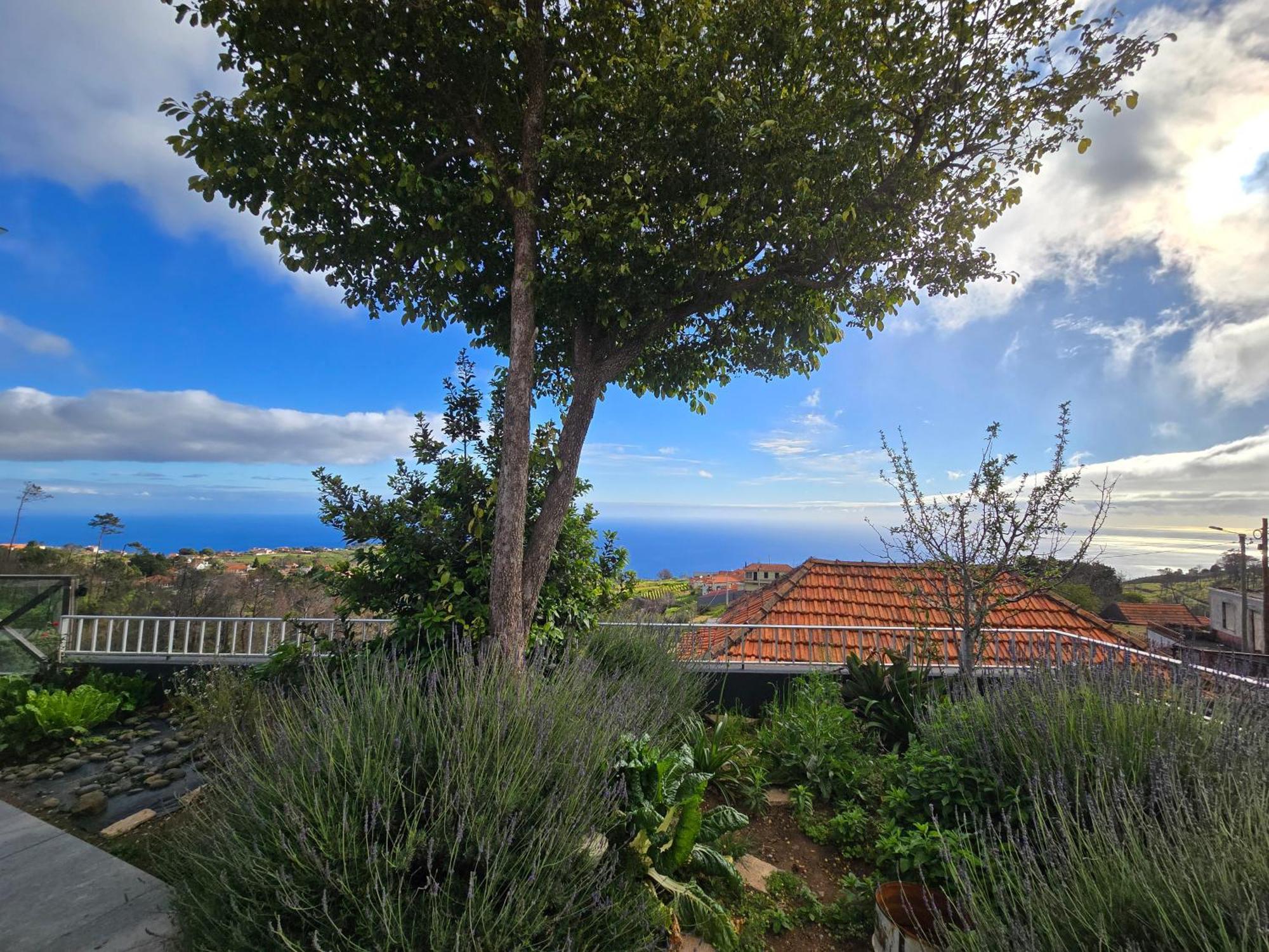 Horizon Retreat Calheta (Madeira) Exterior foto
