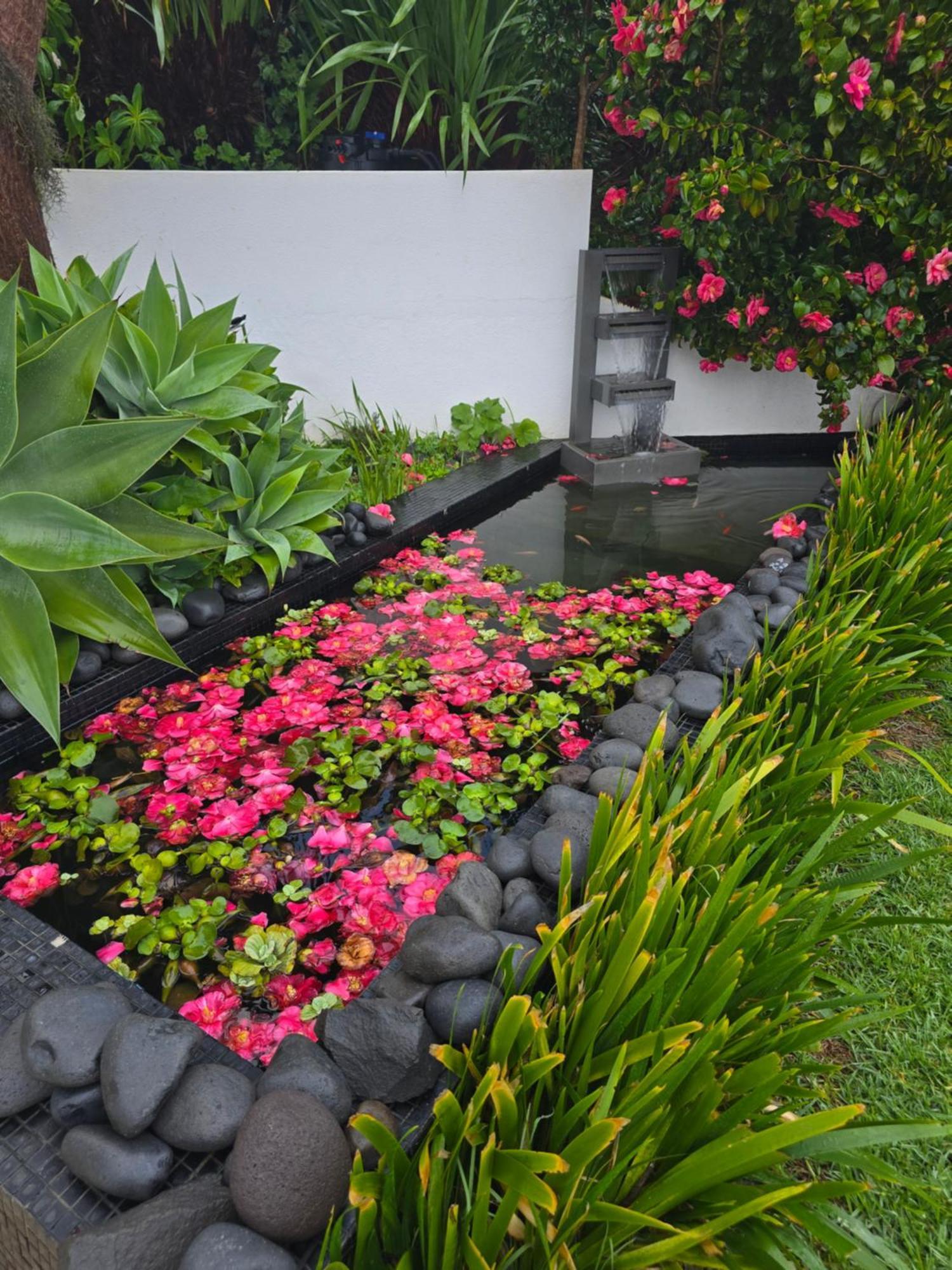 Horizon Retreat Calheta (Madeira) Exterior foto